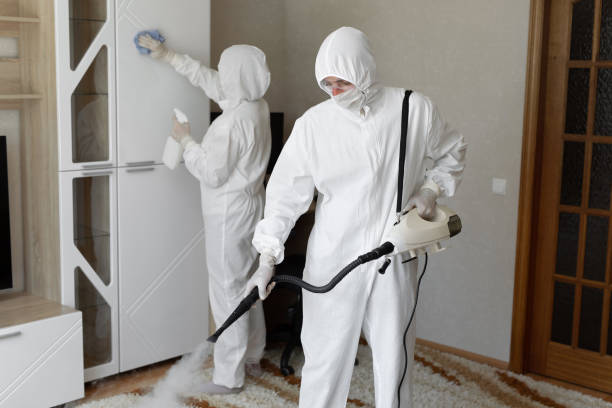 24/7 Emergency Odor Removal experts in Richmond, CA