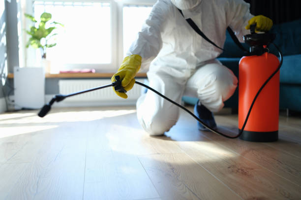 Reliable Odor Removal contractor in Richmond, CA by Dulley Family Biohazard Services